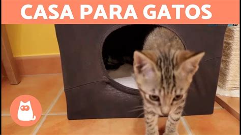 Descobrir 74 Imagem Casas Para Gatos Faciles De Hacer Abzlocal Mx