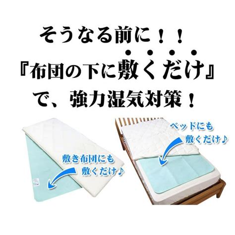 テイジン 日本製 除湿シート 快眠ドライスリム 高吸湿 シングル 90×180cm 帝人 ベルオアシス 使用 快眠ドライ プラス Plus 高