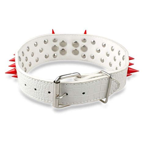 Leather Dog Spike Collars – Life is complete with Dogs