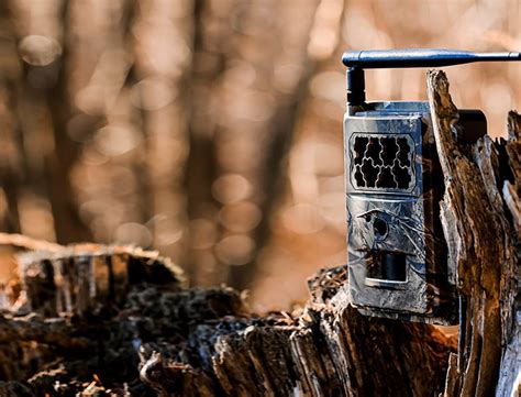 Best Trail Camera Reviews 2023 Top Picks Complete Buyers Guide