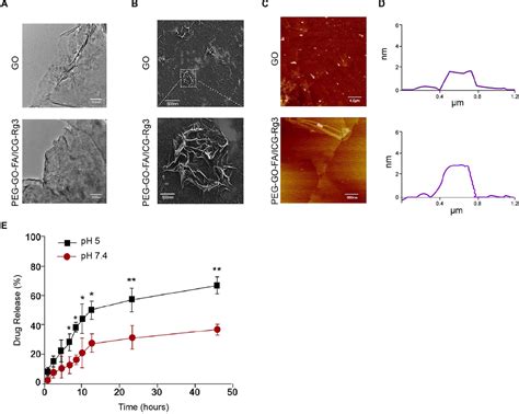 Frontiers Graphene Oxide Nanoparticleloaded Ginsenoside Rg Improves