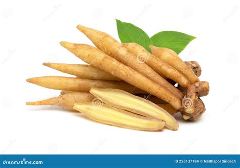 Finger Root With Leaf Isolated On White Background White Krachai Herb