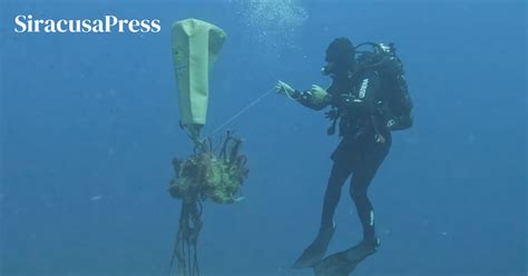 Siracusa La Guardia Costiera Rimuove Una Rete Fantasma Di 100 Metri