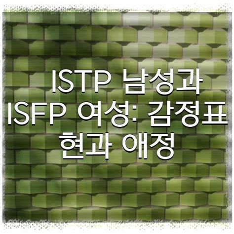 Istp 남성과 Isfp 여성 감정표현과 애정