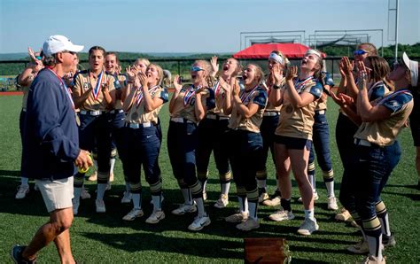 ‘This is special.’ Bald Eagle Area softball wins District 6 2A title ...