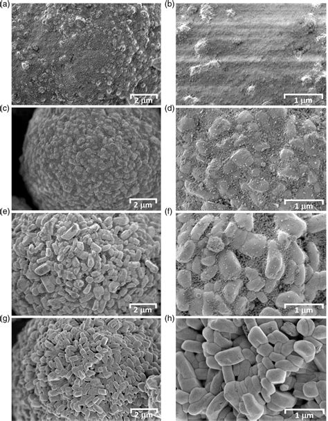 Sem Images Of Nmc Coated By A B Wt C D Wt And E F