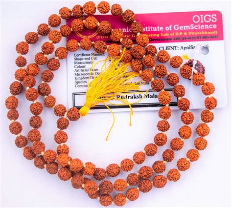 Apnisanskriti Lab Certified Mukhi Rudraksha Mala Men Women Wearing