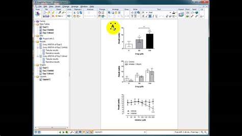 Graphpad Prism Using The Layout Tool To Publish Your Data Youtube