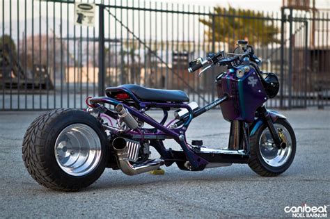 Honda Ruckus Moto Zombdrive