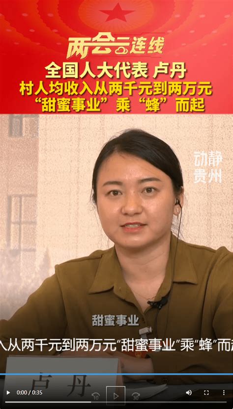 两会云连线丨全国人大代表卢丹：村人均收入从两千元到两万元 “甜蜜事业”乘“蜂”而起龙海若何涛贵州