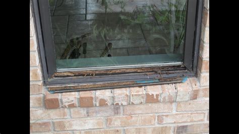 Repair Rotted Wood Window Sash Alderroegner 99