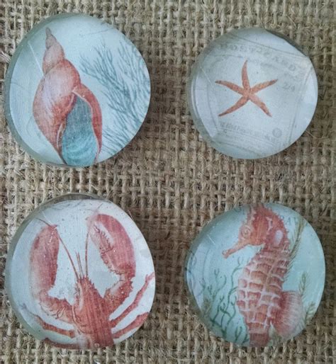 Glass Magnet Set Fridge Magnets Gift Magnets Sea Life Magnets