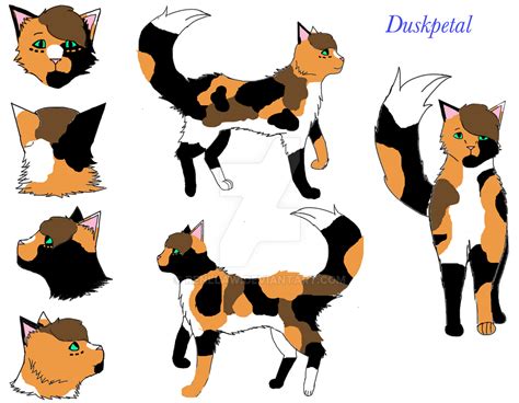 Warrior Cats Oc Reference Sheet - Duskpetal by renllaw on DeviantArt