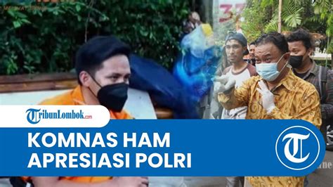 Ada Perbedaan Pengakuan Komnas Ham Apresiasi Polri Beri Kesempatan