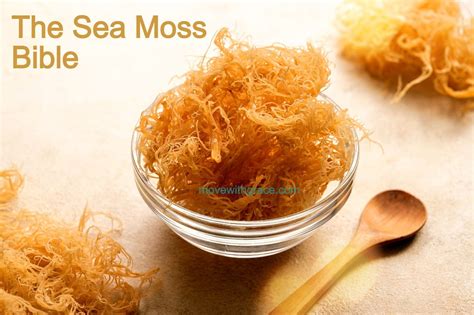 The Complete Guide To Sea Moss Everything You Need To Know