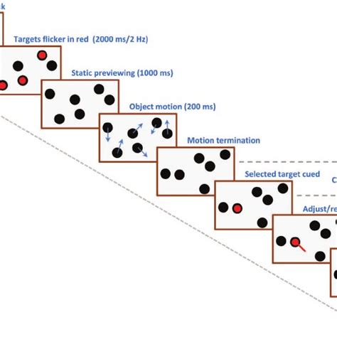 Schematic Depiction Of The Stimulus And Sequence Of Events On Each