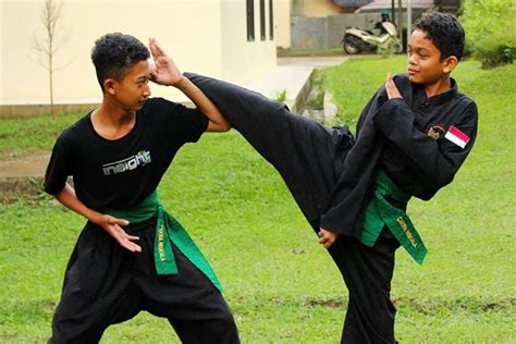 6 Perguruan Pencak Silat Di Indonesia Tertua PSHT