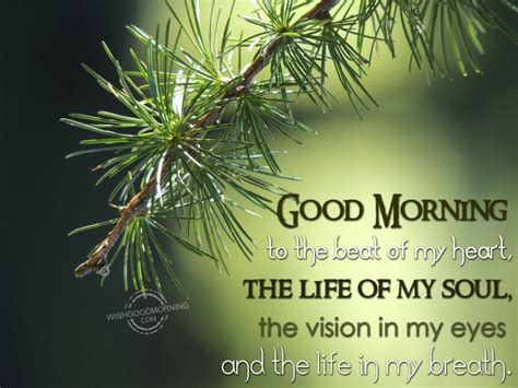 Good Morning My Life - Good Morning Wishes & Images