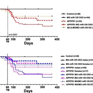 Microglia Specific Inducible Knock Out Of Mir Leads To Increased