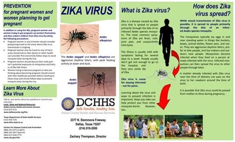 Lyme Disease Brochure Ppt