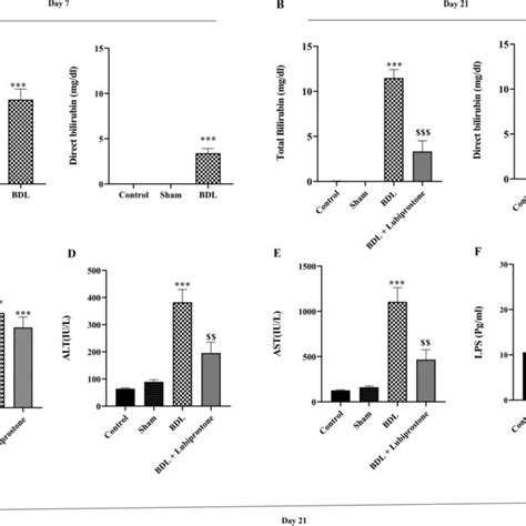 Relative Expression Levels Of Fxr And Tight Junction Genes After