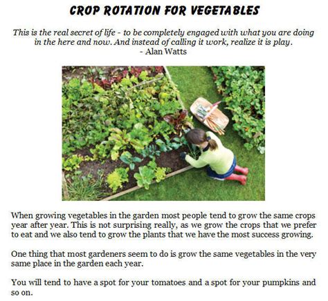 Crop Rotation Tips for Vegetable Gardens