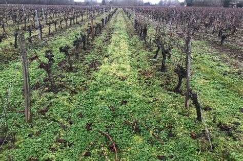 La Cession De Parts Sociales De Vignoble Est D Sormais Encadr E Mais