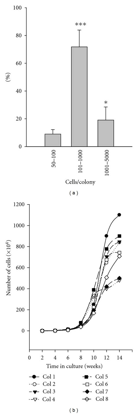 Proliferative Capacity Assay Of Bone Marrow Derived Epc A