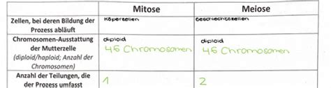 Mitose Vs Meiose Karteikarten Quizlet