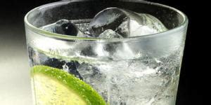 C Mo Hacer Un Gin Tonic De Frutos Rojos Receta F Cil