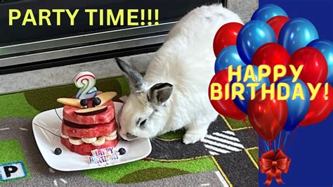 We Threw Our Rabbit A Birthday Party Youtube