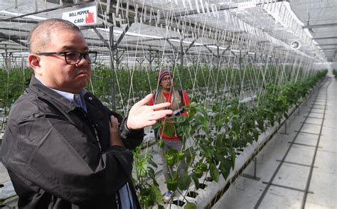 Visit To The Smart Greenhouse Project At The Da Bpi In Baguio City