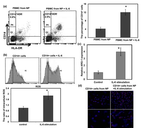 Effect Of IL 6 On The Induction Of MDSCs A Flow Cytometric Analysis