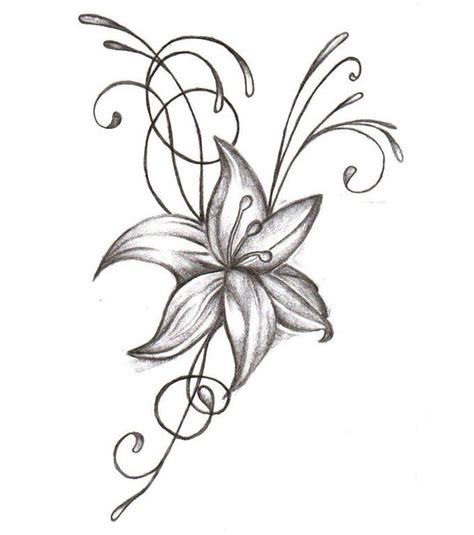 Hawthorn Flower Drawing Free Download On Clipartmag