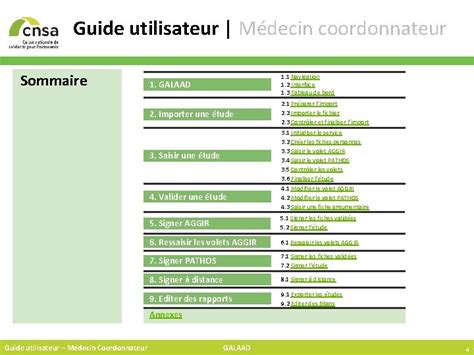 Guide Utilisateur Galaad Mdecin Coordonnateur Cnsa Direction Esms