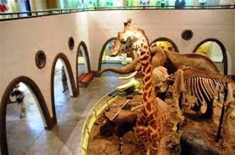 Kenya Safari to Nairobi National Museum Attractions For Cultural Heritage