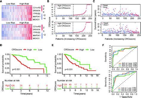 Evaluation Of The Cuproptosis Related Prognostic Model In The Tcga