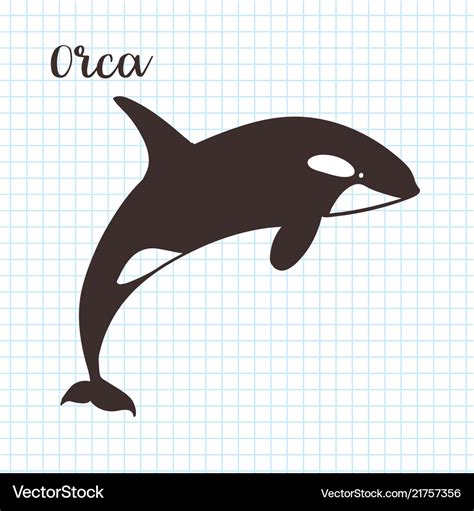 Hand drawn killer whale sketch Royalty Free Vector Image