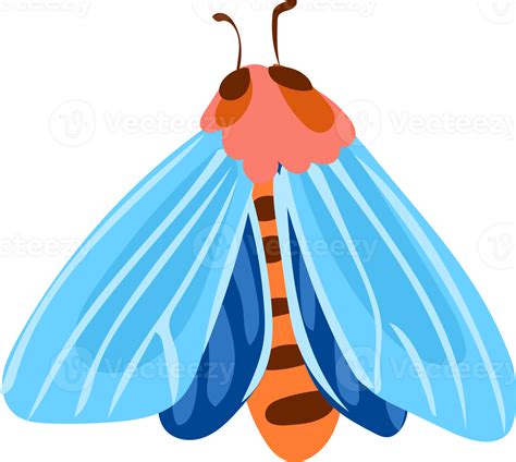 Azure Winged Butterfly 68408937 PNG