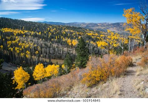 Hiking Down Agua Fria Mountain On Stock Photo 501914845 | Shutterstock