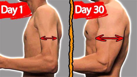 Get Bigger Arms In 30 DAYS Home Workout YouTube