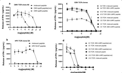 Functional Avidity Assay Of TCR Transduced T Cells CMV Specific TCR T