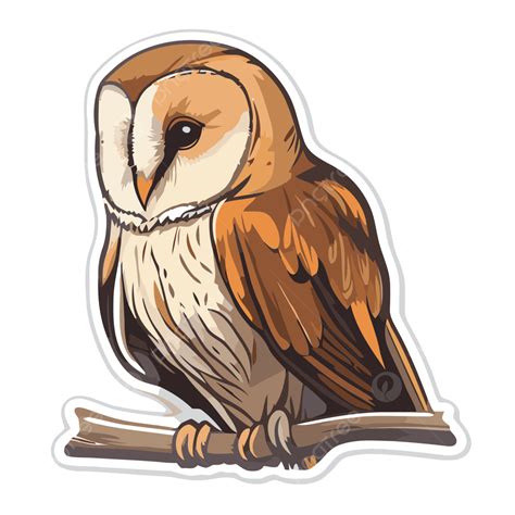 Barn Owl Cartoon