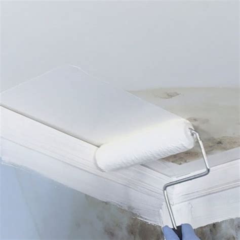 Zinsser Mold Killing Interior/Exterior Primer, White, 5 Gal. 276088, 1 - Ralphs