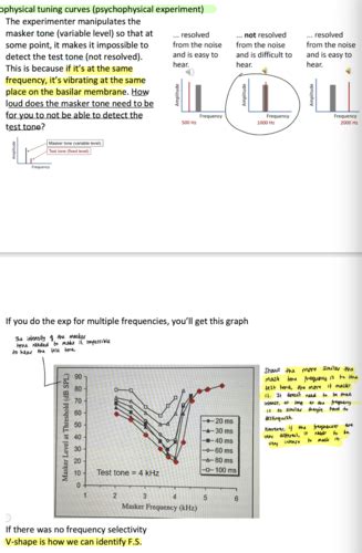 Lec 2 Frequency Selectivity And Speech Perception Flashcards Quizlet