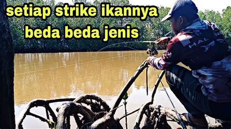 Di Spot Ini Isinya Berbagai Macam Jenis Ikan Ada Mancing Dimuara Umpan