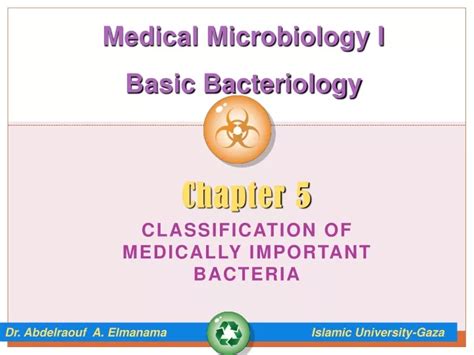 PPT Chapter 5 Classification Of Medically Important Bacteria