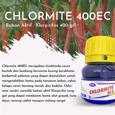 Jual Insektisida Chlormite 400 Ec Kemasan 100 Ml Shopee Indonesia