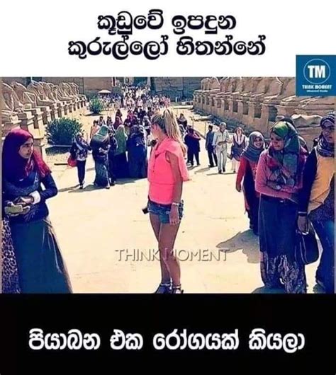 බලප ගමන මහ දයක නපනනට ම පට එක ඇතල ජවත ගන ගඩක දවල