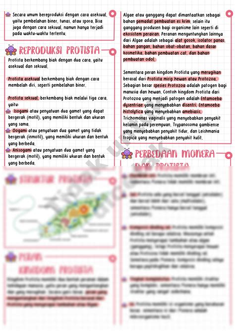 Solution Protista Biologi By Catatanindahns Studypool